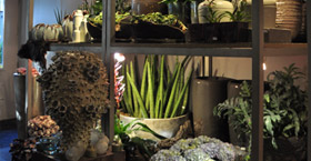 home-3